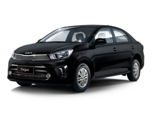 Pegas 1.4 EX AUTO