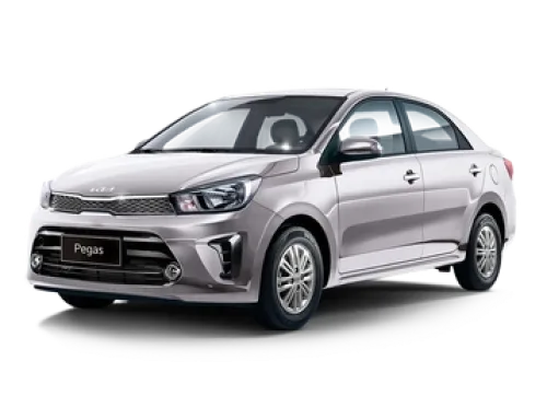 Pegas 1.4 EX